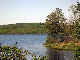 Basic Creek Reservoir.jpg