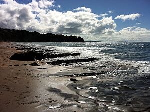 Beach of Castor Bay