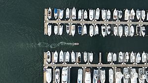 Belmar Marina 2024