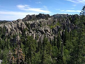 Black Elk Peak hike 03