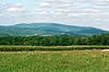 View of a distant tree-covered mountain with fields and forests in the foreground