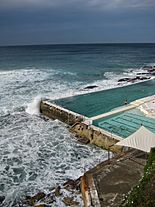 Bondi icebergs