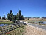 Bridge across Murrumbidgee River, Bolaro, New South Wales.JPG