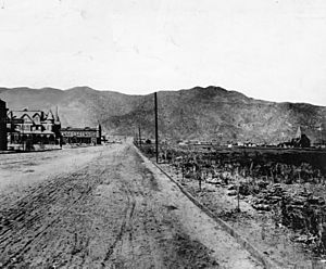 Burbank-1889