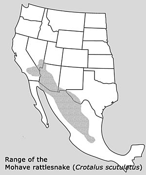 C scutulatus range