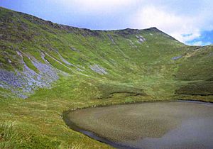 Cadair Berwyn