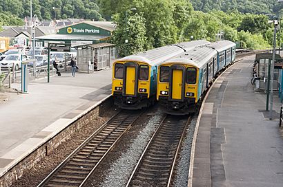 Class 150 trains at Cogan.jpg