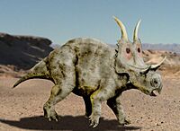 Diabloceratops NT.jpg