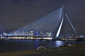 Erasmusbrug - panoramio (4)