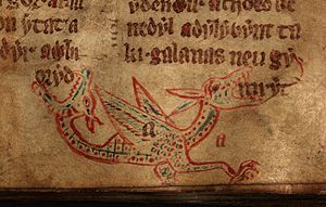 F. 21r. Wyvern