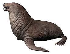 Gomphotaria pugnax life restoration