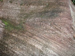 Kangaroo Creek Sandstone 4