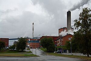 Karlsborg-Norrbotten-Billerud-120902.jpg