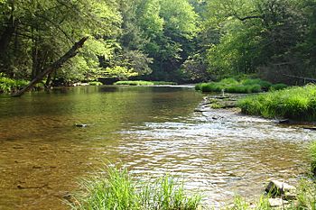 Kinzua Creek.JPG