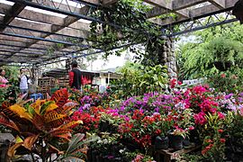 Mercado del Valle de Antón