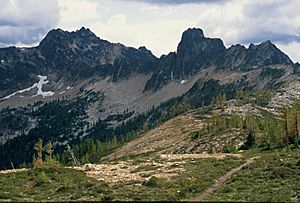 Molar Tooth from Cutthroat Pass