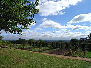 Monticello veggie garden