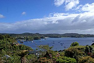 Oban Stewart Island