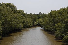 Oxley Creek, Brisbane 1a.jpg