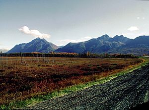 PalmerAK Hay Flats