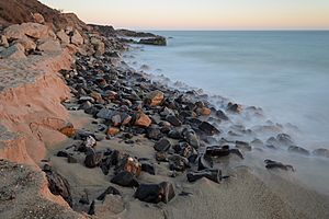 Point Mugu September 2013 013