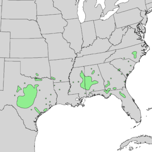 Quercus durandii range map 1.png