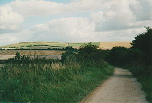 RidgewayRingfort