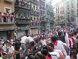 Sanfermines Vaquillas Pamplona 08.jpg