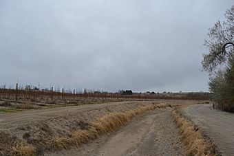 Snake River Valley AVA.jpg