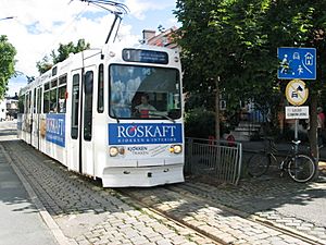 Trondheim tram 1