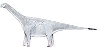 Turiasaurus1.jpg