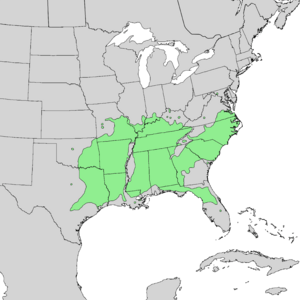 Ulmus alata range map 2.png