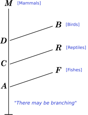 Vestiges dev diag labelled