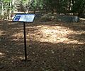 An open spot in some woods is covered with pine needles. An interpretive sign stands before the scene.