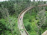 Walkway to Clingmans Dome, TN IMG 4941