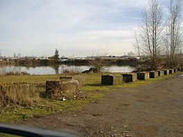 Walling pond 2008 02 11.JPG