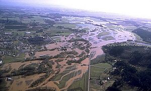 Willamette River 1996 flood aerial