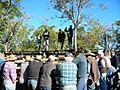 Wollombi-cattle-sales