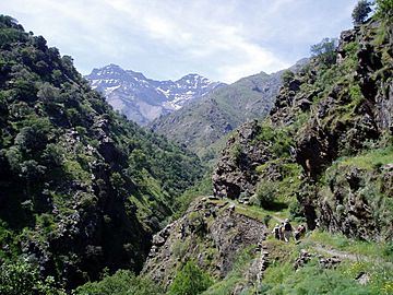 Alcazaba y Mulhacén (3247171069).jpg