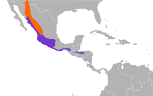 Antrostomus ridgwayi map.svg