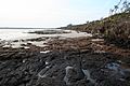 Blackrock Beach-Big Talbot Island