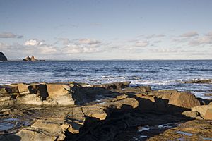 Cape Paterson Reef