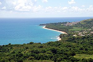 The coastline of Maunabo