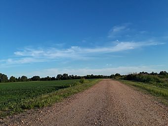 Dirt roads on Eppes Island.jpg