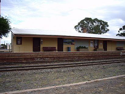 Henty - Railway Station.jpg