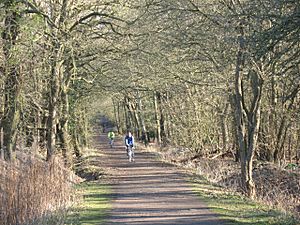 Horse Ride, Wimbledon Common - geograph.org.uk - 692221