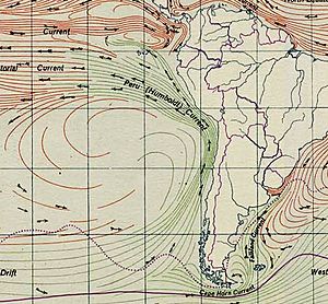 Humboldt current