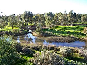 Kaurna park001