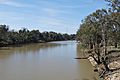 Kyalite Wakool River 002