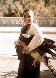 Lammergeier with boy, Kabul, 1973